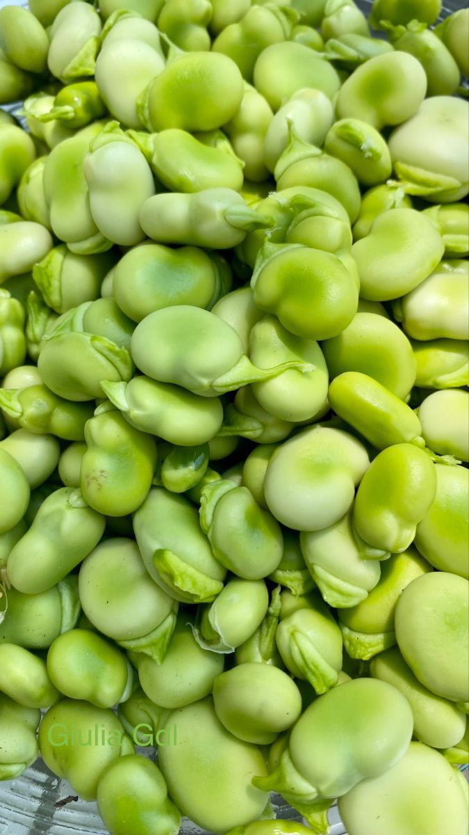 قیمت مناسب باقلا