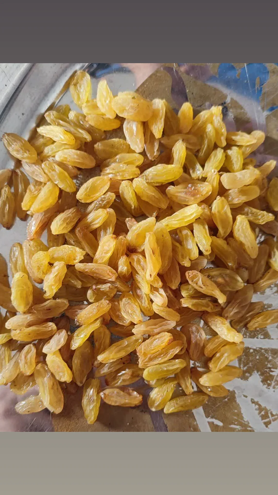 تصویر 1 از کشمش طلایی قلمی + خرید