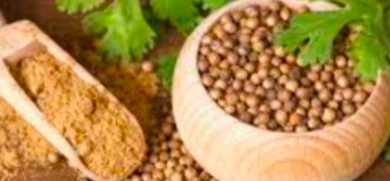 تصویر 1 از قیمت پودر و دانه گشنیز + خرید به موقع از آناهیتا