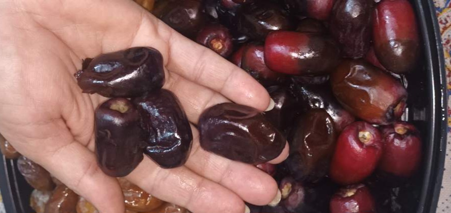 تصویر 2 از قیمت رطب مضافتی عمده + فروش ویژه