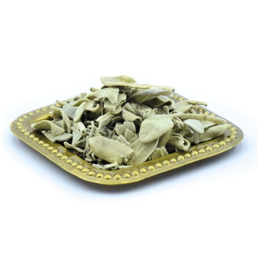 تصویر 4 از فروش عمده پولک (سنبله ارسبارانی) + صادرات گیاه دارویی با کیفیت ممتاز