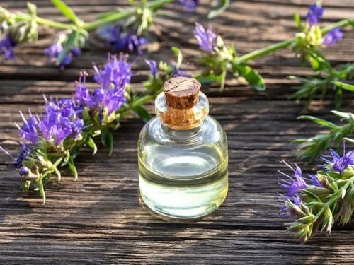 تصویر 1 از فروش عمده زوفا + گیاه دارویی با کیفیت صادراتی
