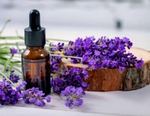 تصویر 2 از فروش عمده اسطوخودوس + گیاه دارویی و معطر با کیفیت صادراتی