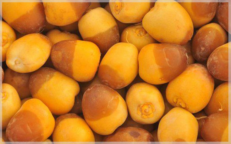 تصویر 3 از خرید خرما خارک زرد + قیمت فروش استثنایی صادراتی