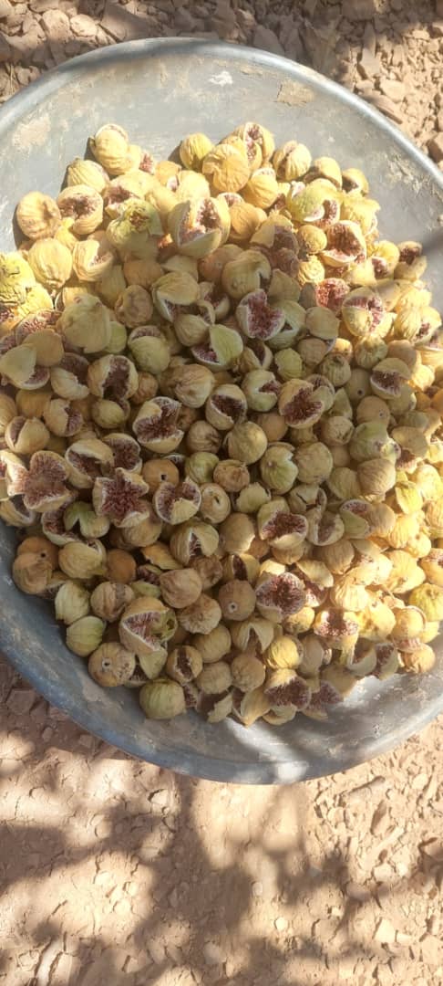 تصویر 4 از لیست خرید انجیر خشک درجه یک استهبان + قیمت فروش