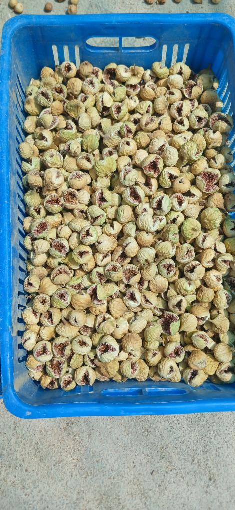 تصویر 1 از لیست خرید انجیر خشک درجه یک استهبان + قیمت فروش