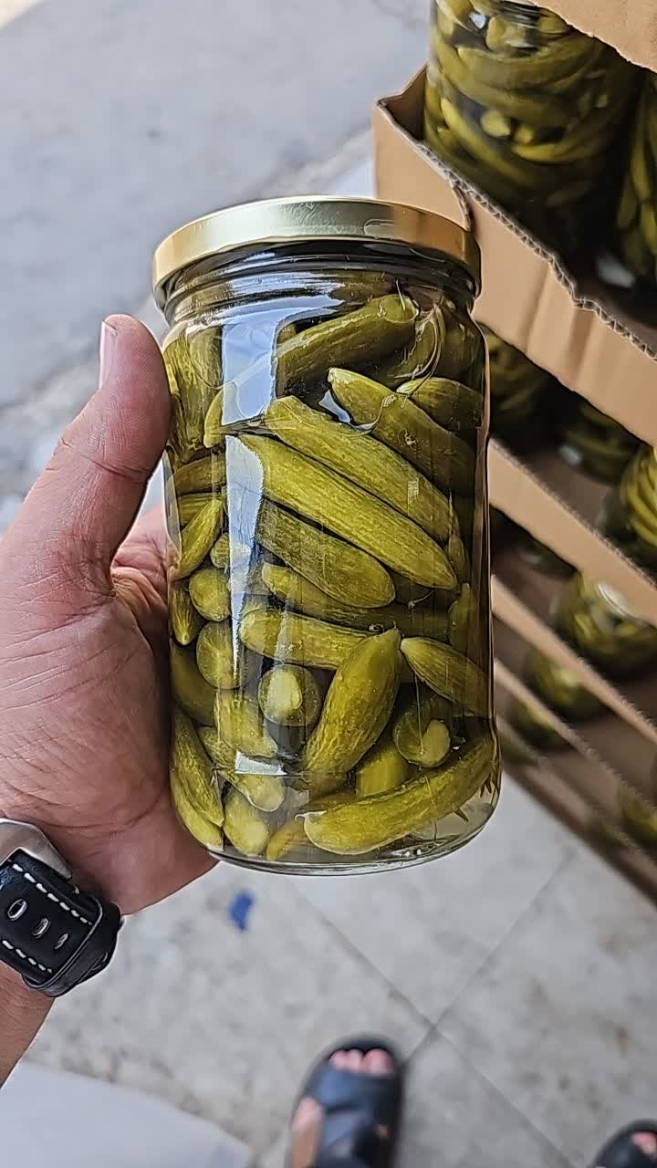 خرید تضمینی خیارشور کارخانه ای با کیفیت صادراتی