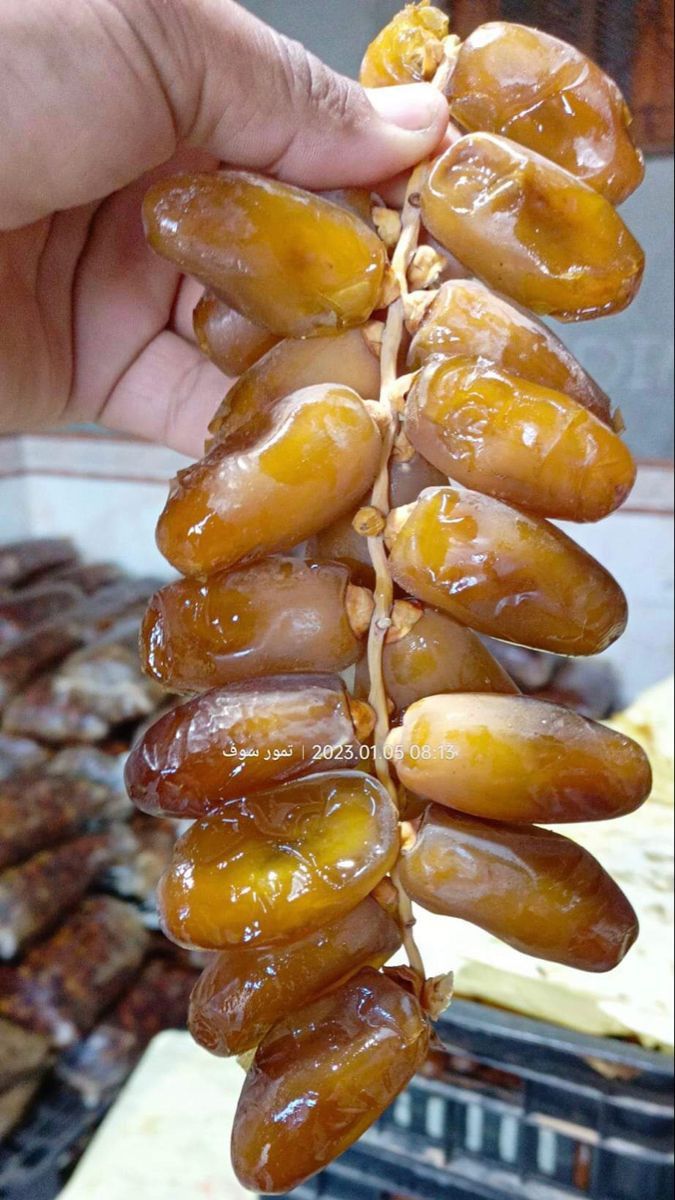 تصویر 2 از خرما شاهانی صادراتی خاوران + خرید مستقیم از باغدار