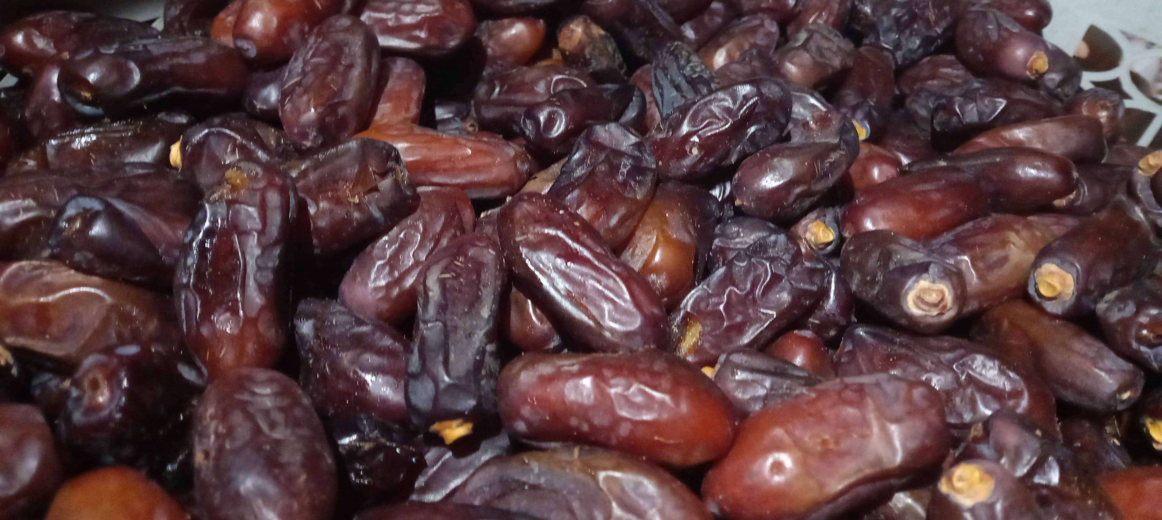 فروش‌ خرما‌ ربی بلوچستان‌ + قیمت‌ مناسب‌ و ارزان‌