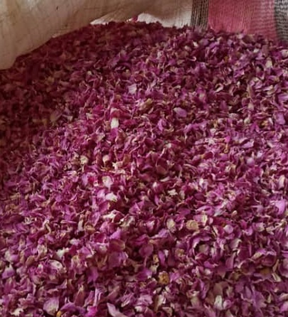 خرید پر گل محمدی بسته بندی شده