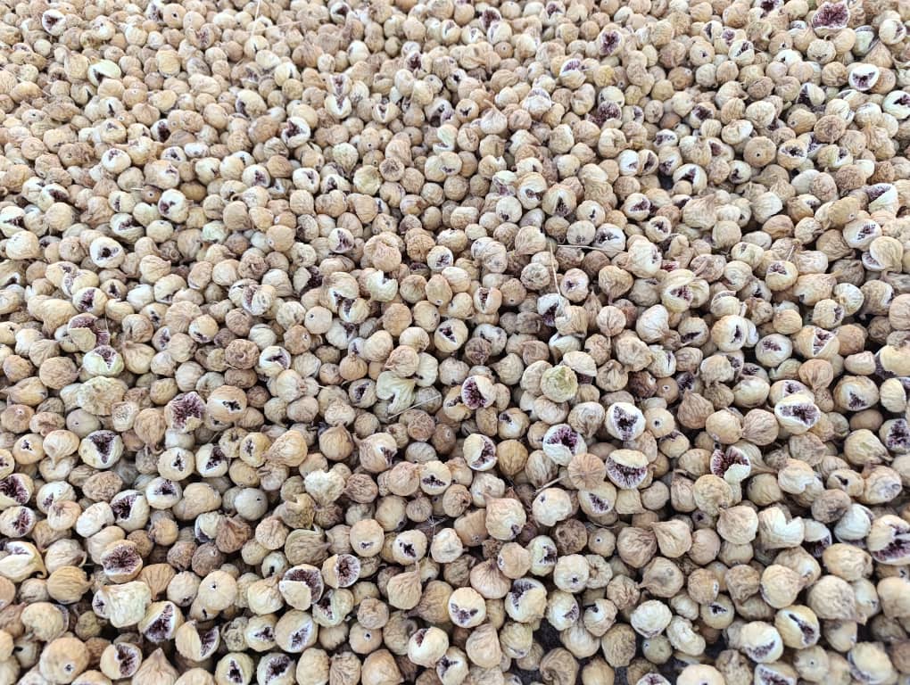 تصویر 2 از لیست خرید انجیر خشک سالم + قیمت فروش