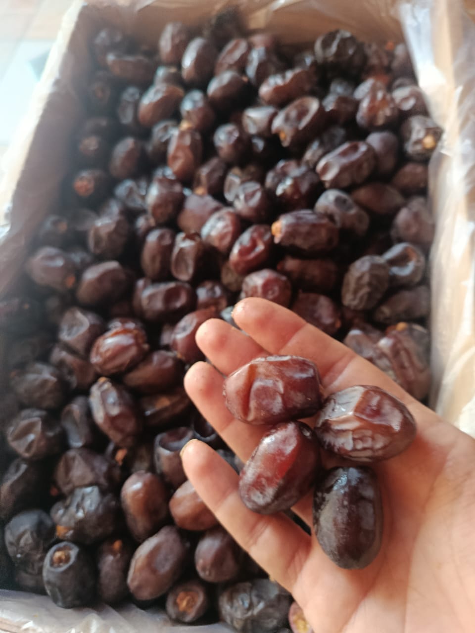 تصویر 1 از خرید و فروش خرمای خنیزی بسته بندی عنبرآباد + خرید مستقیم