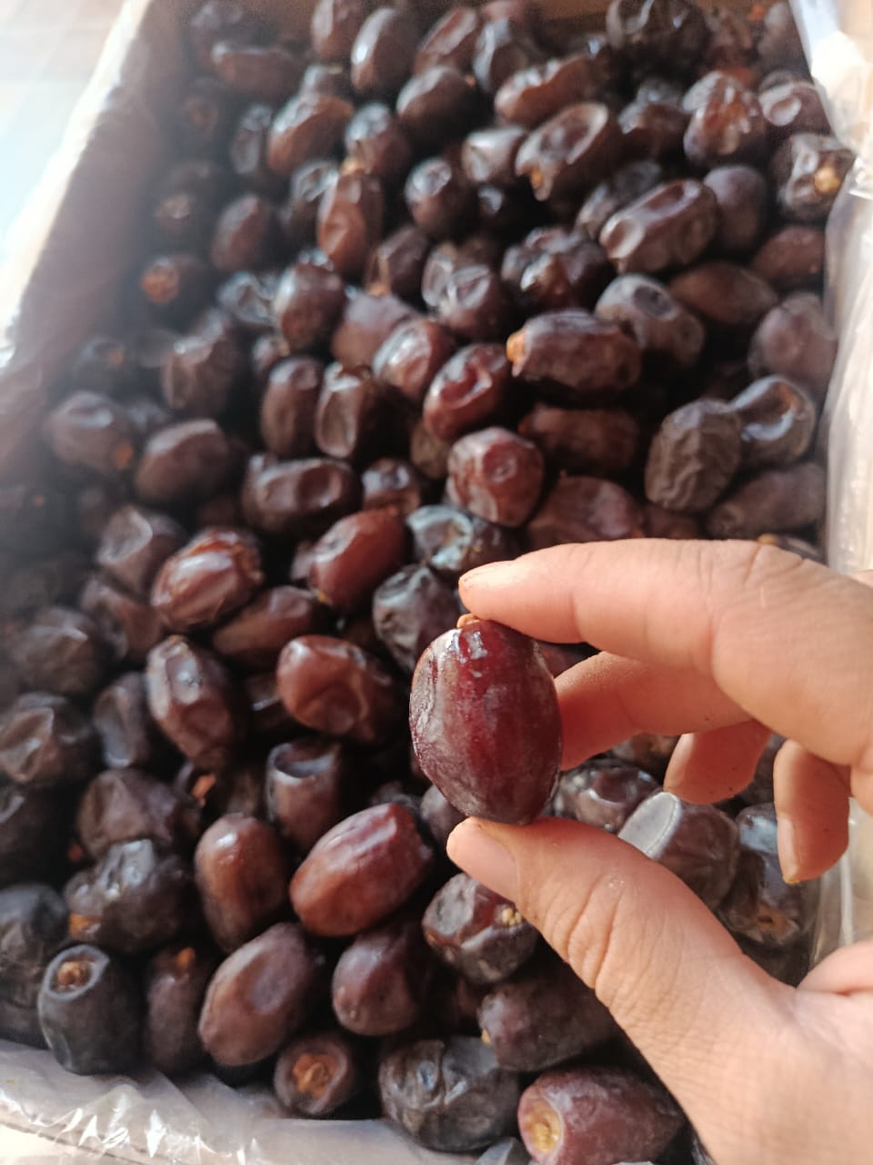 تصویر 1 از خرید و فروش خرمای خنیزی تازه جیرفت + بهترین قیمت