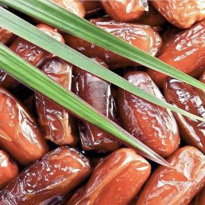 تصویر 2 از خرید و فروش خرمای استعمران تازه و لوکس شادگان + کیفیت صادراتی