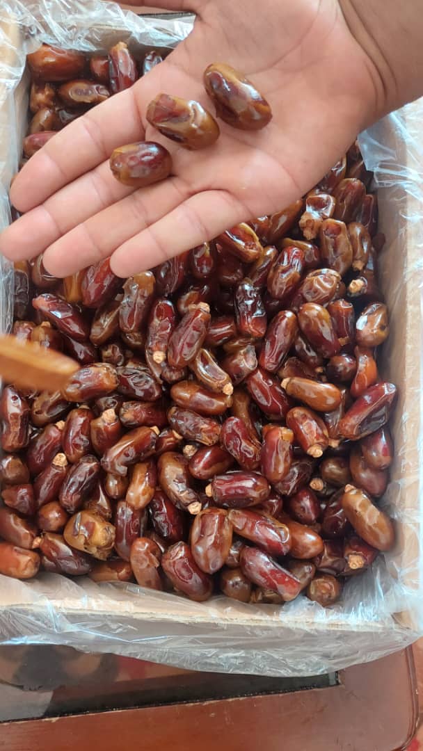 تصویر 3 از فروش فوری خرما خاصویی بدون شیره امسالی