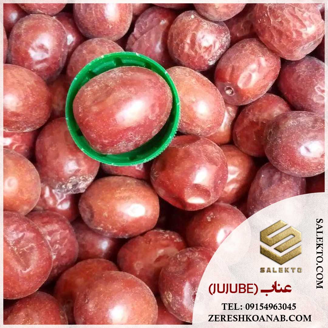 تصویر 3 از خرید عناب خشک بیرجند با کیفیت ممتاز + قیمت ارزان و فروش فوق‌ العاده