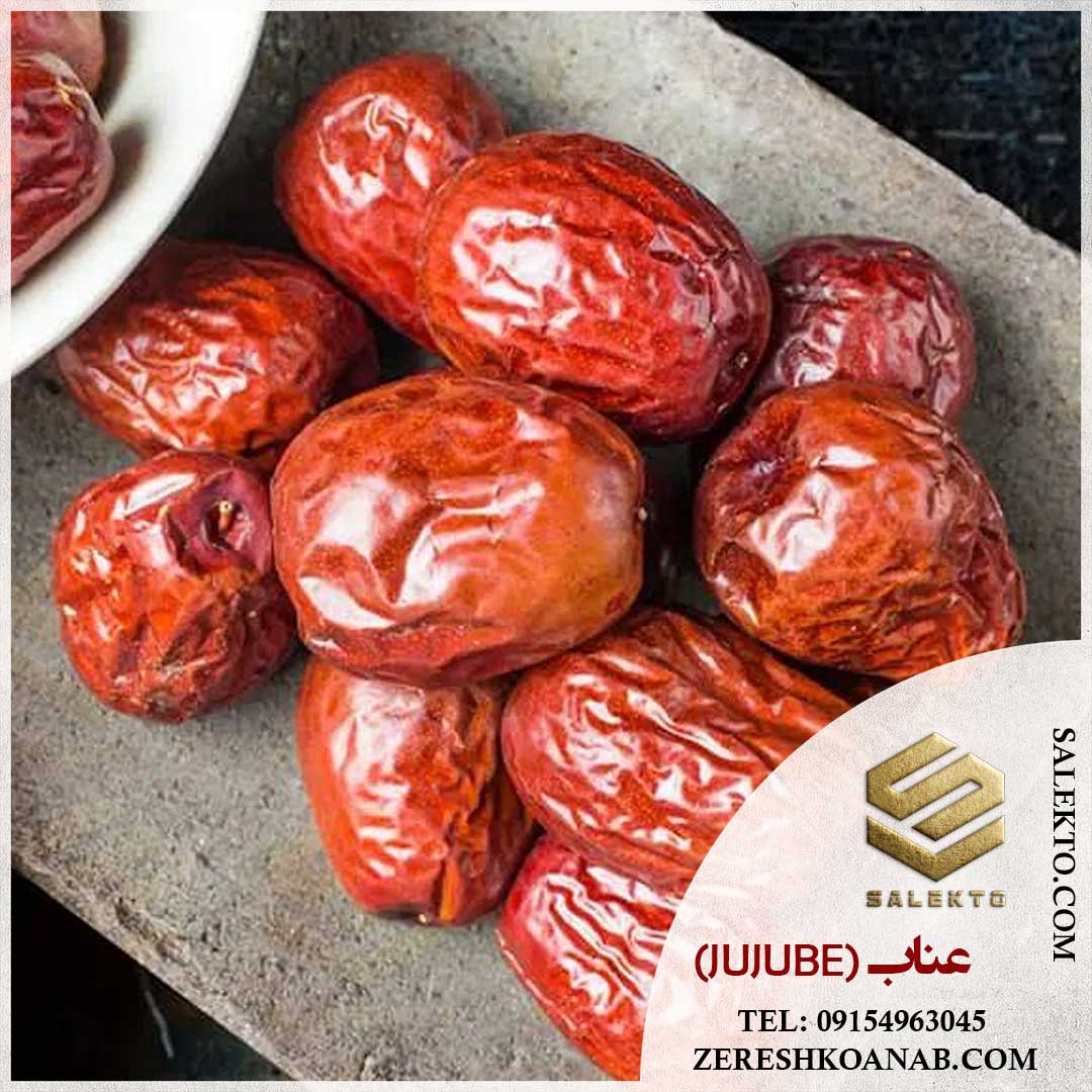 تصویر 4 از خرید عناب خشک بیرجند با کیفیت ممتاز + قیمت ارزان و فروش فوق‌ العاده
