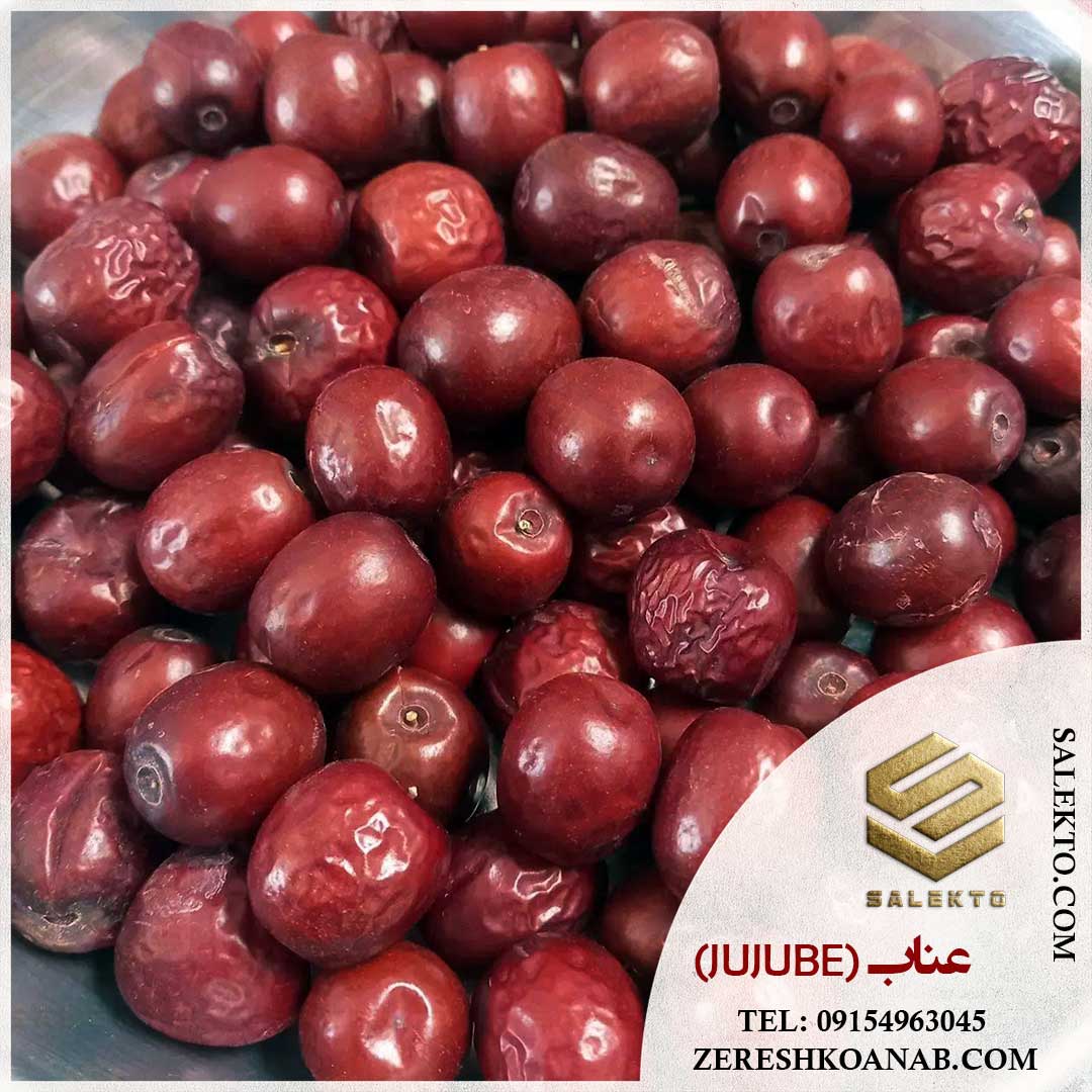 تصویر 5 از خرید عناب خشک بیرجند با کیفیت ممتاز + قیمت ارزان و فروش فوق‌ العاده