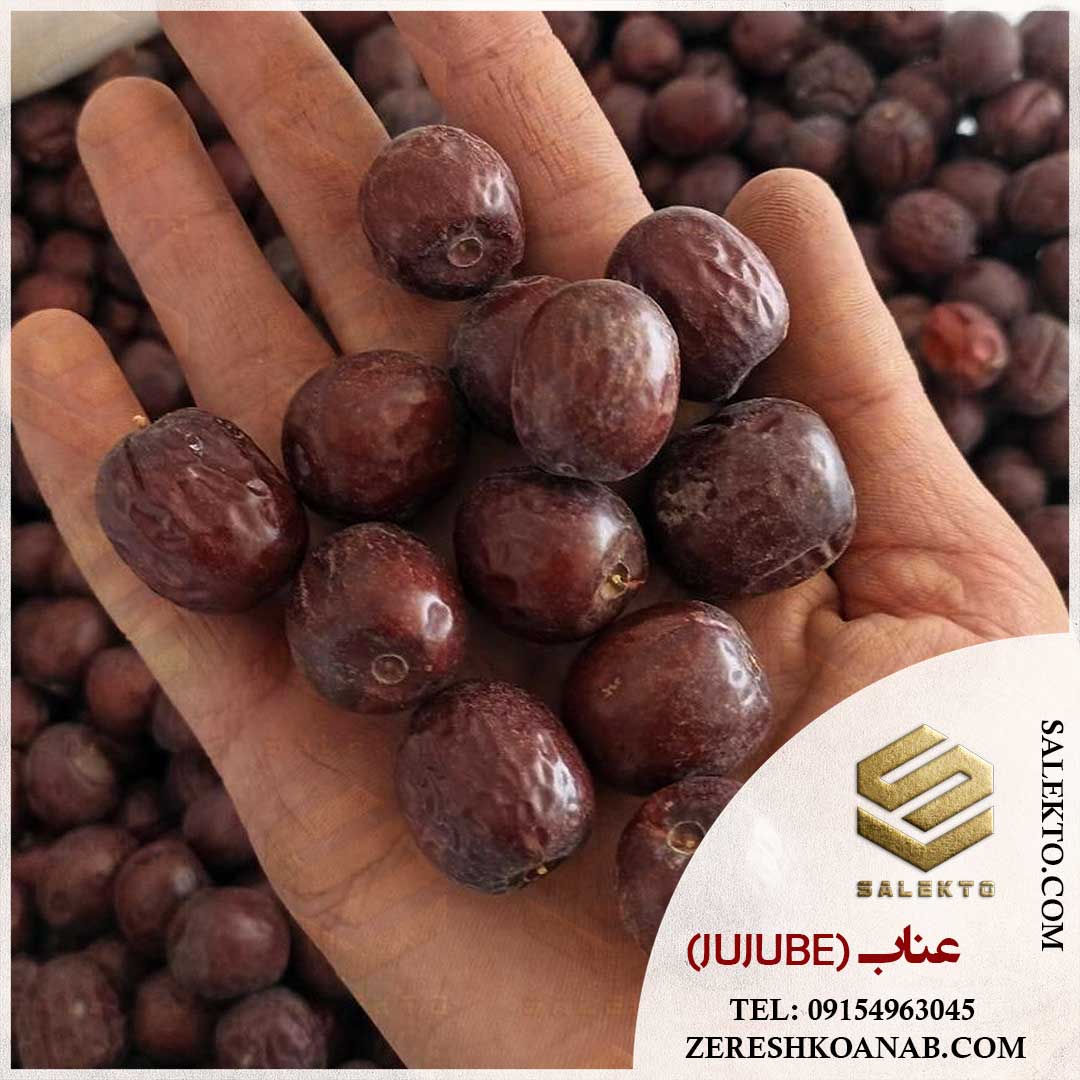 تصویر 1 از فروش عناب خشک قاینات با طعم بی‌ نظیر + قیمت ویژه و خرید مستقیم از کشاورز