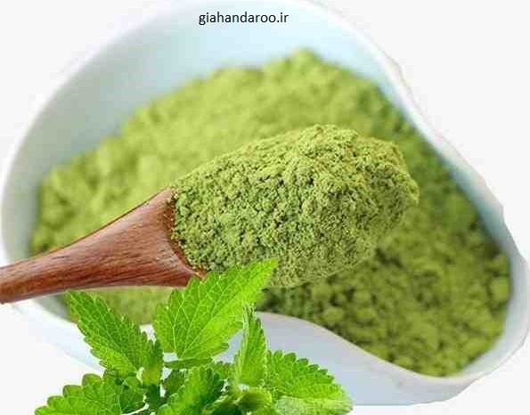 تصویر 4 از عمده فروشی بادرنجبویه با کیفیت بالا