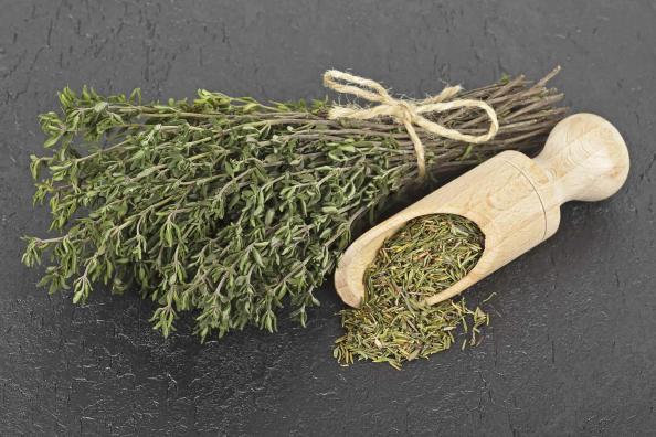 تصویر 5 از فروش عمده آویشن باغی + قیمت رقابتی