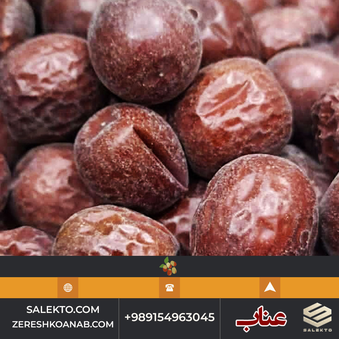 تصویر 5 از قیمت عناب تازه خراسان جنوبی با خواص دارویی + خرید عمده و صادرات به اروپا