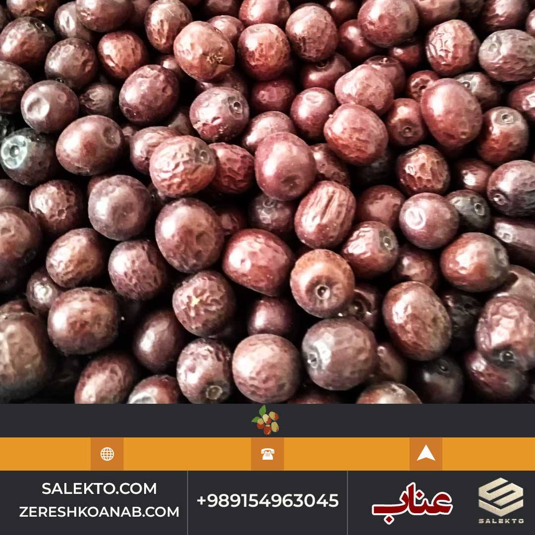 فروش عناب خشک قاینات با کیفیت درجه یک + قیمت مقرون‌ به‌ صرفه و خرید مستقیم