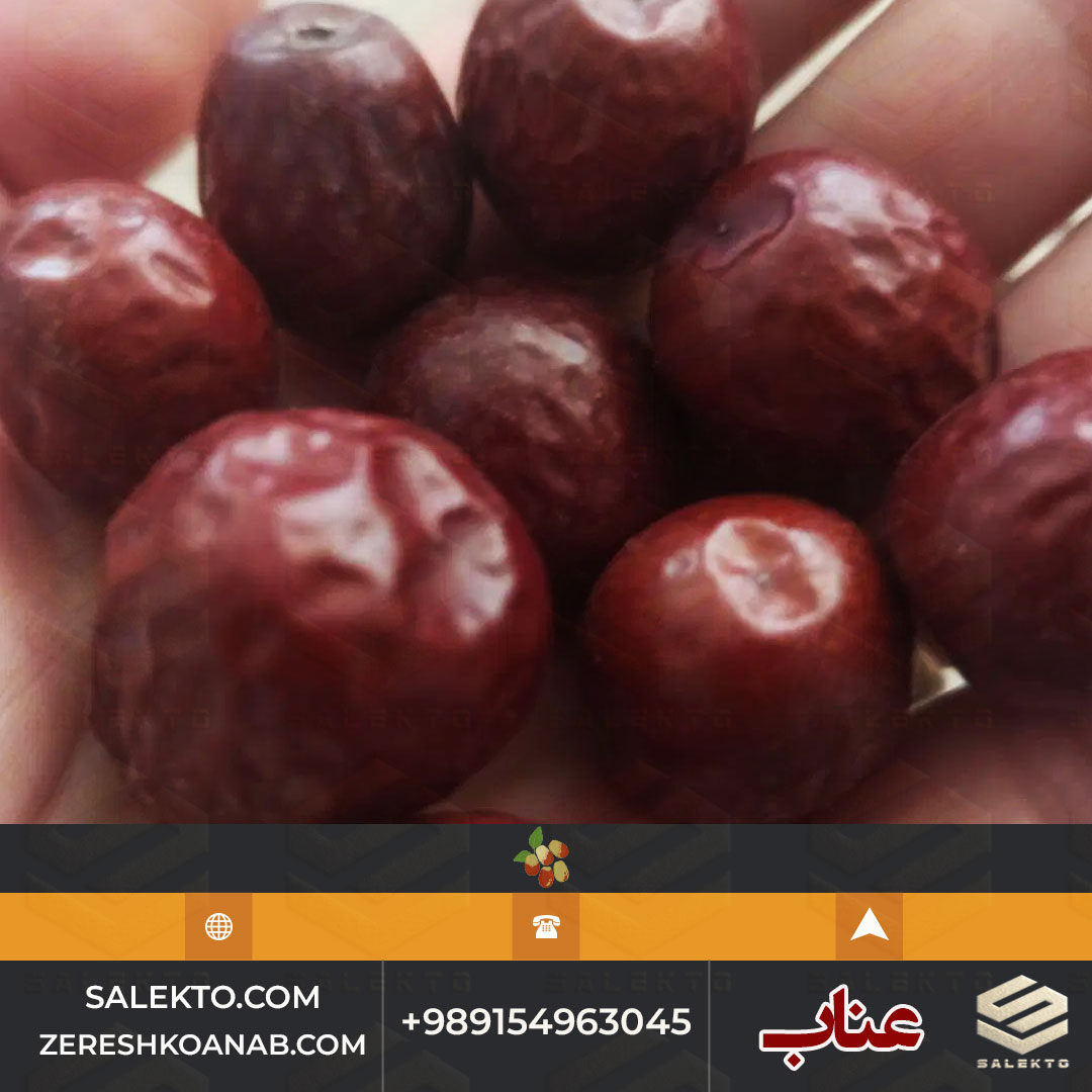 تصویر 2 از فروش عناب خشک قاینات با کیفیت درجه یک + قیمت مقرون‌ به‌ صرفه و خرید مستقیم