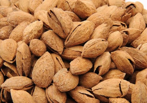 تصویر 1 از فروش و قیمت ویژه بادام منقا شور