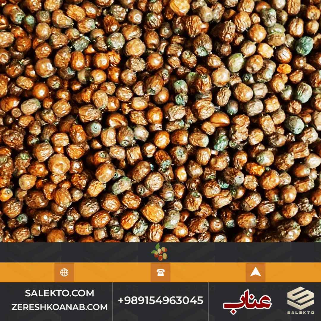 خرید عناب دارویی بیرجند با طعم شیرین + قیمت استثنایی و فروش عمده