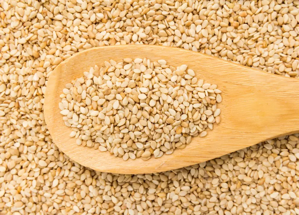 خرید عمده کنجد ایرانی تازه با بهترین قیمت