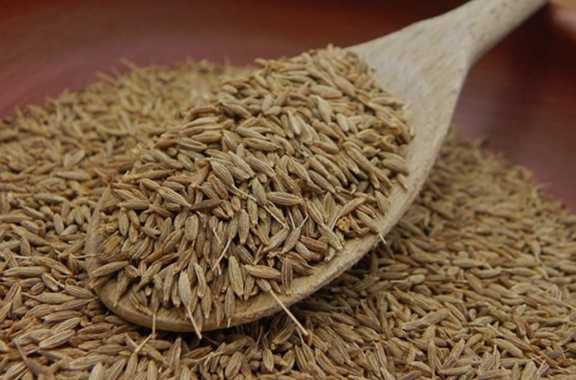 تصویر 4 از خرید پودر زیره سیاه برای ادویه ماکارونی صادراتی