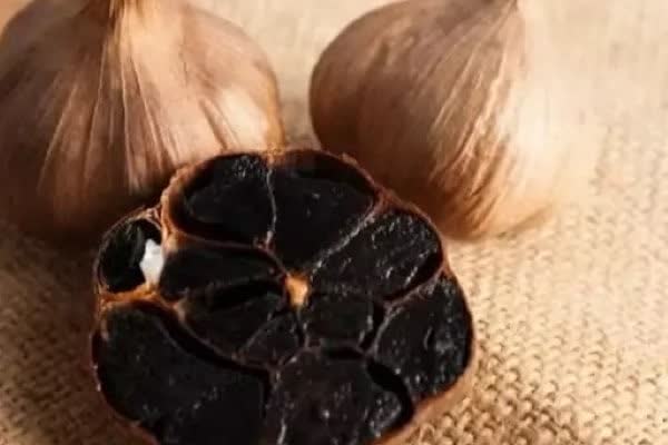 سیر سیاه بسته بندی برای ترکیب با خوراک‌ های بخار پز خانگی