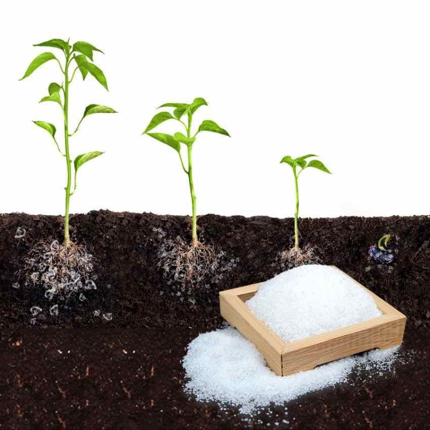 خرید هیدروژل درختی برای ریشه‌ دهی بهتر و کاهش تنش خشکی