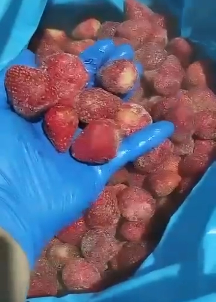 توت قرمز