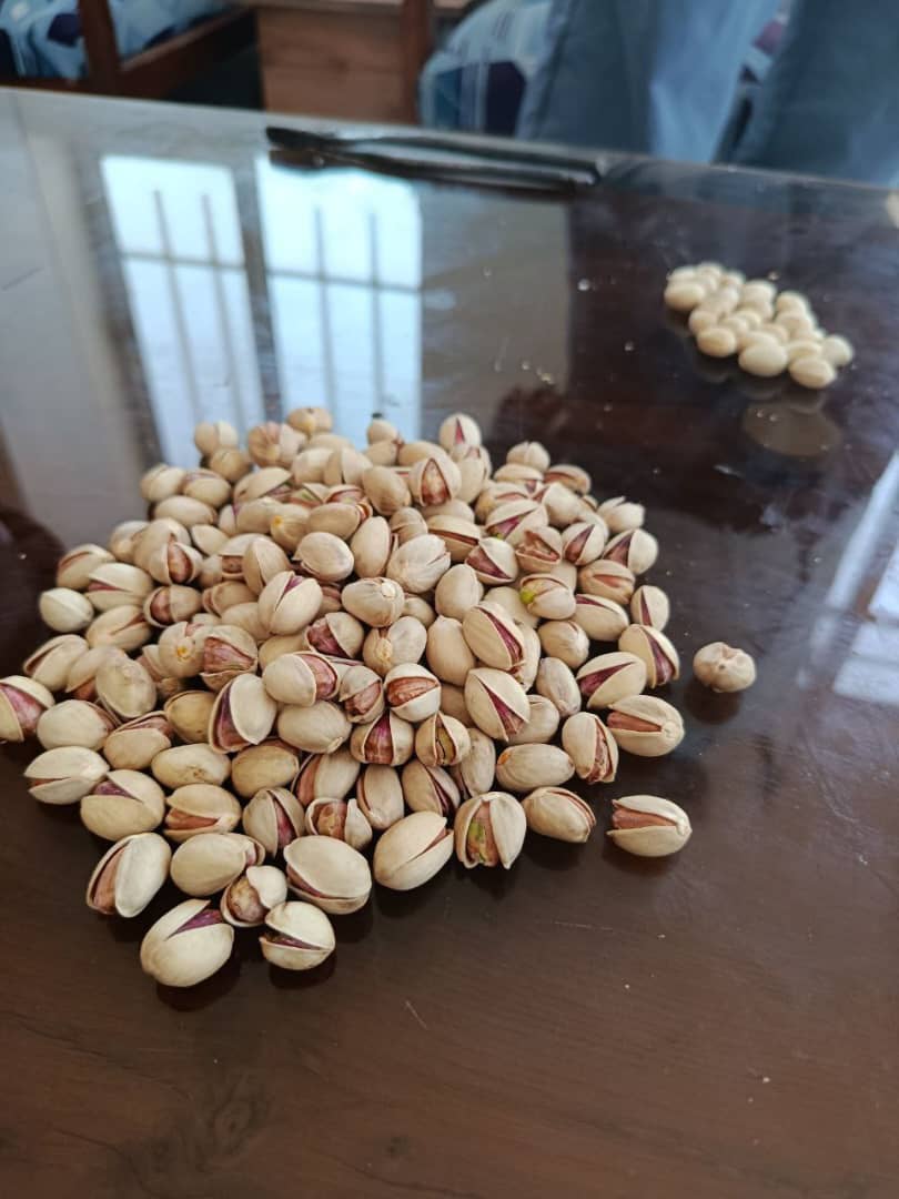 پسته فندوقی خام با دانه های سالم و یکنواخت