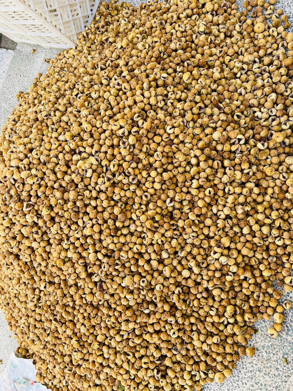 مرکز فروش انجیر خشک غنچه