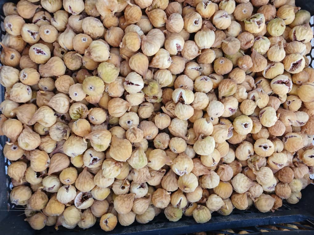 تصویر 5 از مرکز خرید و فروش انجیر خشک اعلا + قیمت مطمئن
