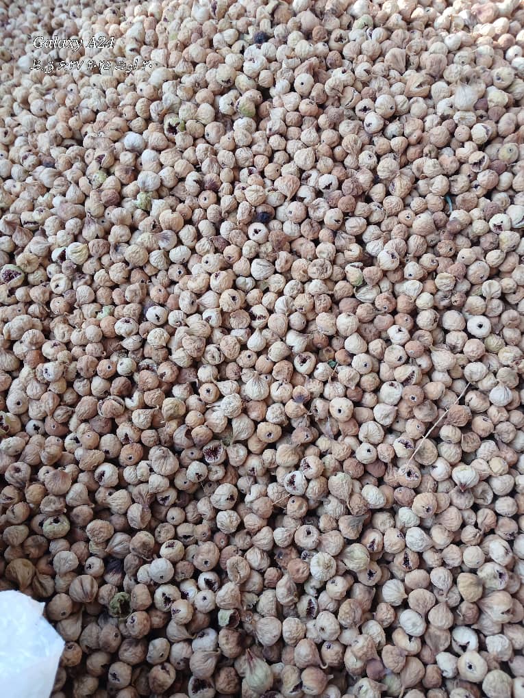 تصویر 4 از مرکز خرید و فروش انجیر خشک اعلا + قیمت مطمئن