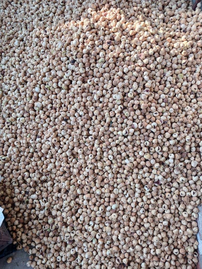 تصویر 2 از مرکز خرید و فروش انجیر خشک اعلا + قیمت مطمئن