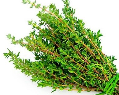 تصویر 1 از قیمت خرید و فروش عمده آویشن برگ با کیفیت ممتاز