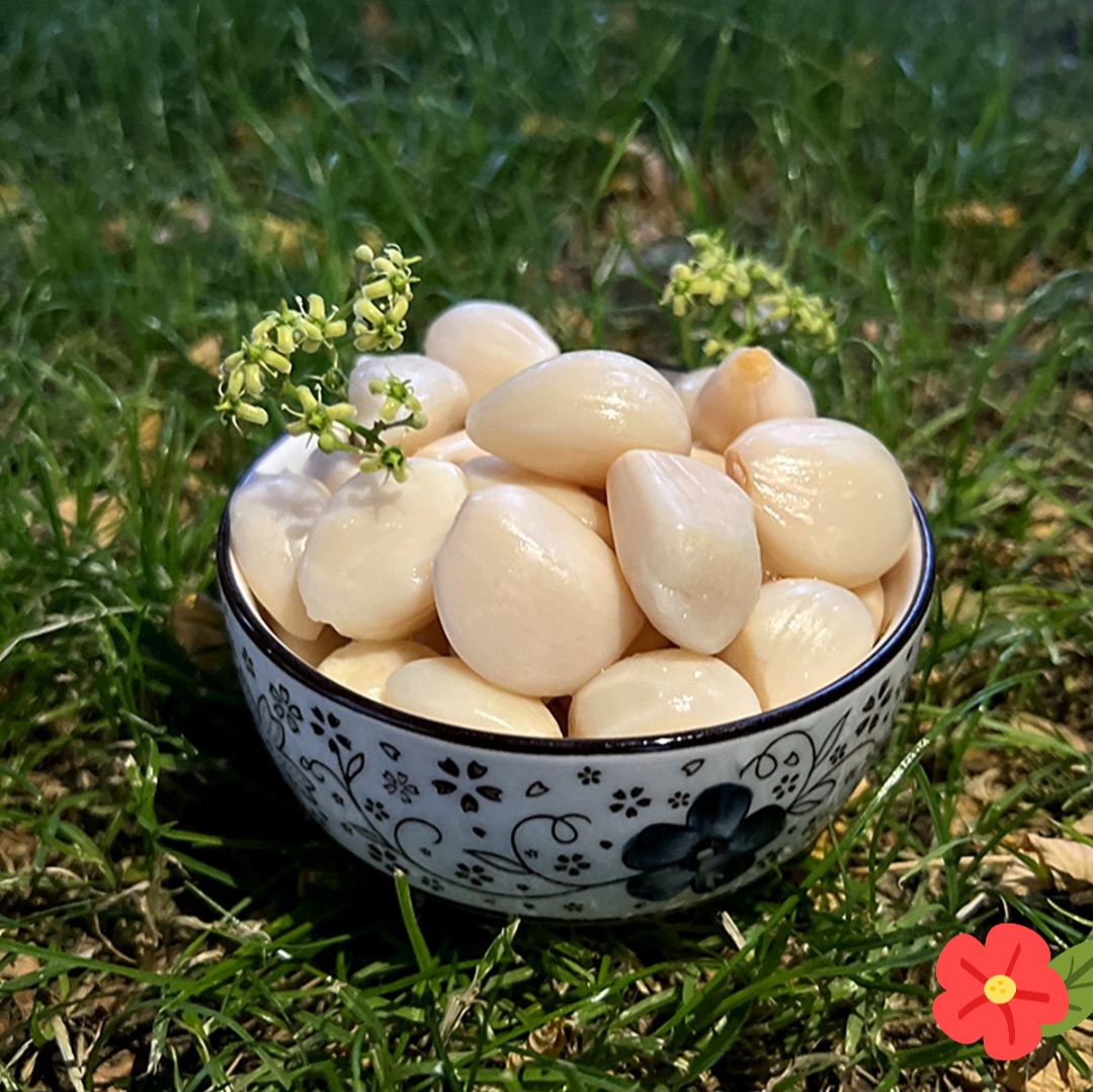 سیر مروارید با کیفیت بالا و مرغوب