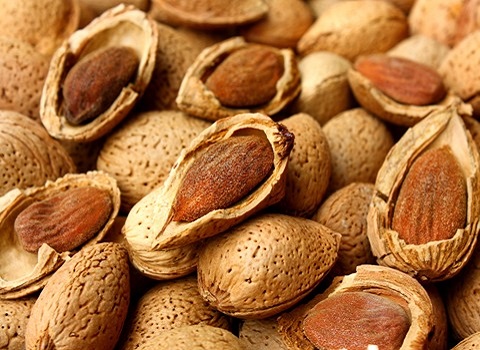 تصویر 3 از خرید مغز بادام سنگی باکیفیت عالی + فروش ویژه
