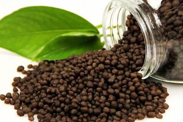 تصویر 1 از خرید و قیمت کود فسفر + فروش عمده