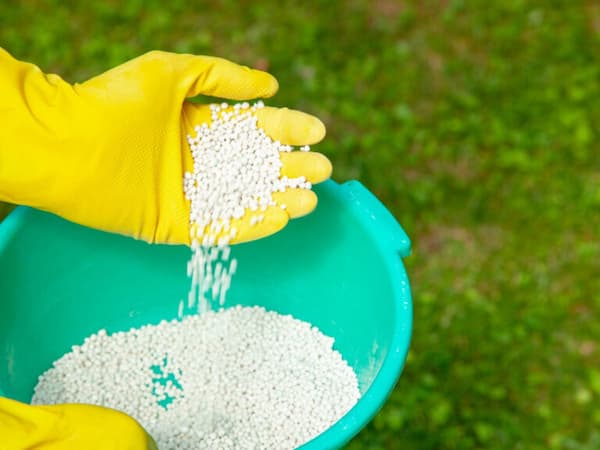 تصویر 5 از خرید کود ازت + قیمت فروش استثنایی