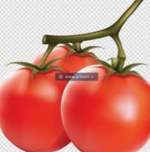 تصویر 3 از رب گوجه‌ فرنگی ماه چین + اعتبار و ارز آوری مطلوب