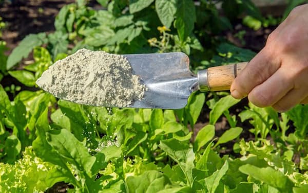 تصویر 3 از فروش کود کلسیم + قیمت خرید به صرفه