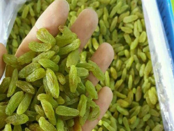 تصویر 1 از خرید و قیمت کشمش سبز + فروش عمده