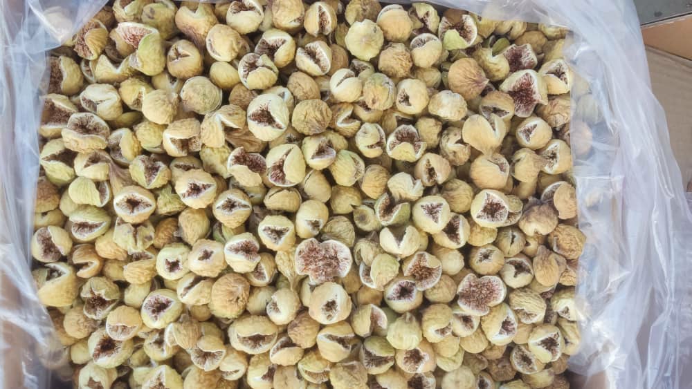 تصویر 1 از انجیر۱۰۱ مرغوب استهبان+ باقیمتی منصفانہ