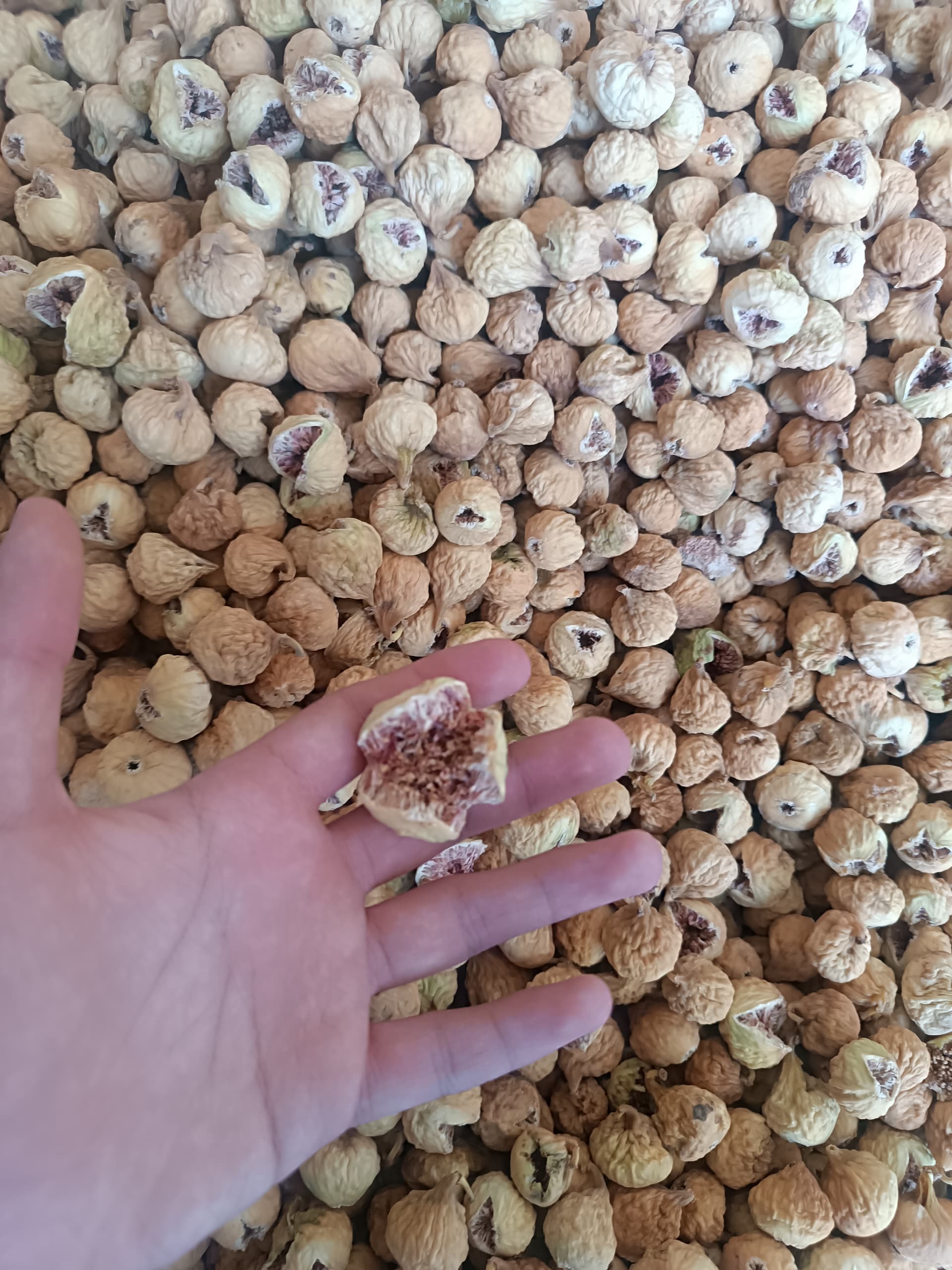 تصویر 1 از خریدانلاین انجیراستهبان+A